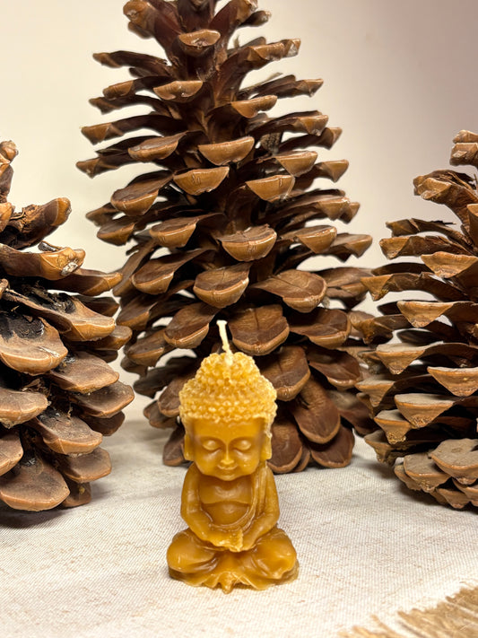 Vela Buda