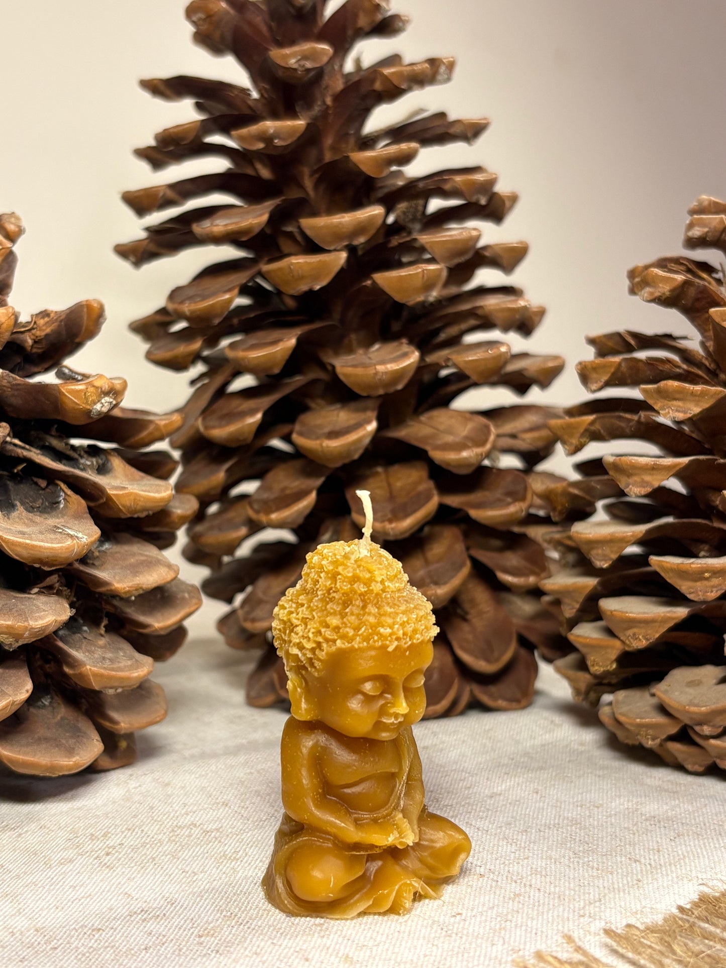 Vela Buda